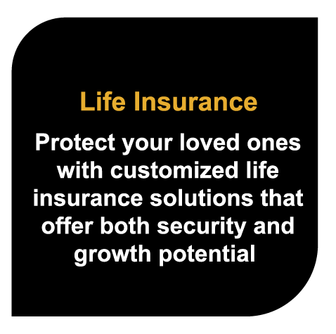 Life Insurance